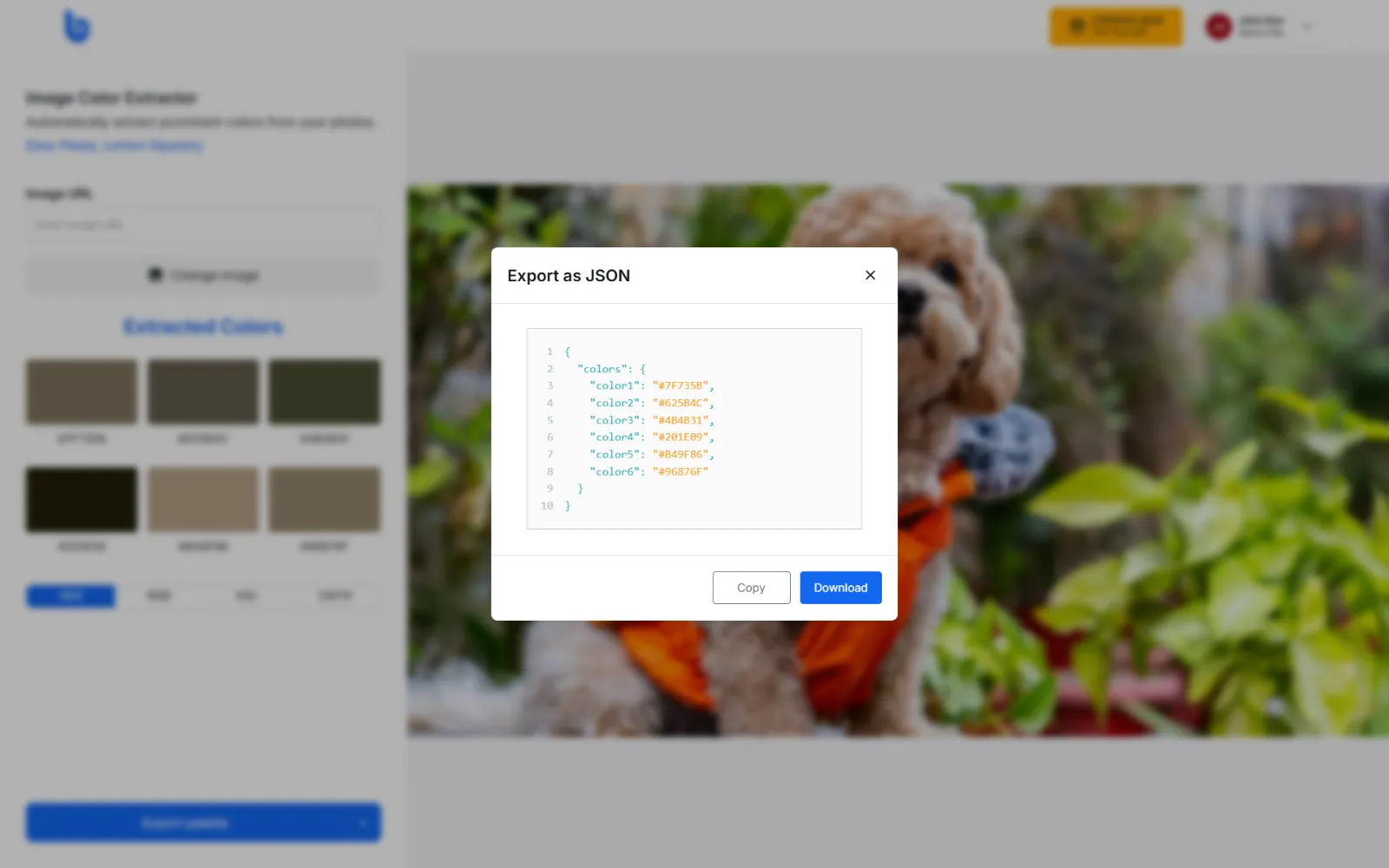 The Export as JSON dialog showing the download button