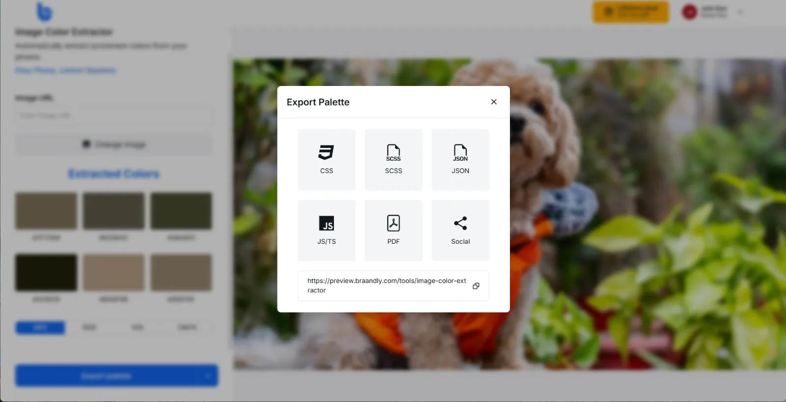 The Export palette dialog showing the CSS, SCSS, JSON, JS/TS, PDF, and Social format options